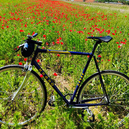 Een droom van vrijheid – onderweg met de racefiets door bloeiende klapvelden. Een zwarte racefiets staat voor een veld met bloeiende rode klaprozen onder een heldere blauwe lucht. Op de achtergrond zijn enkele huizen en bomen zichtbaar.
