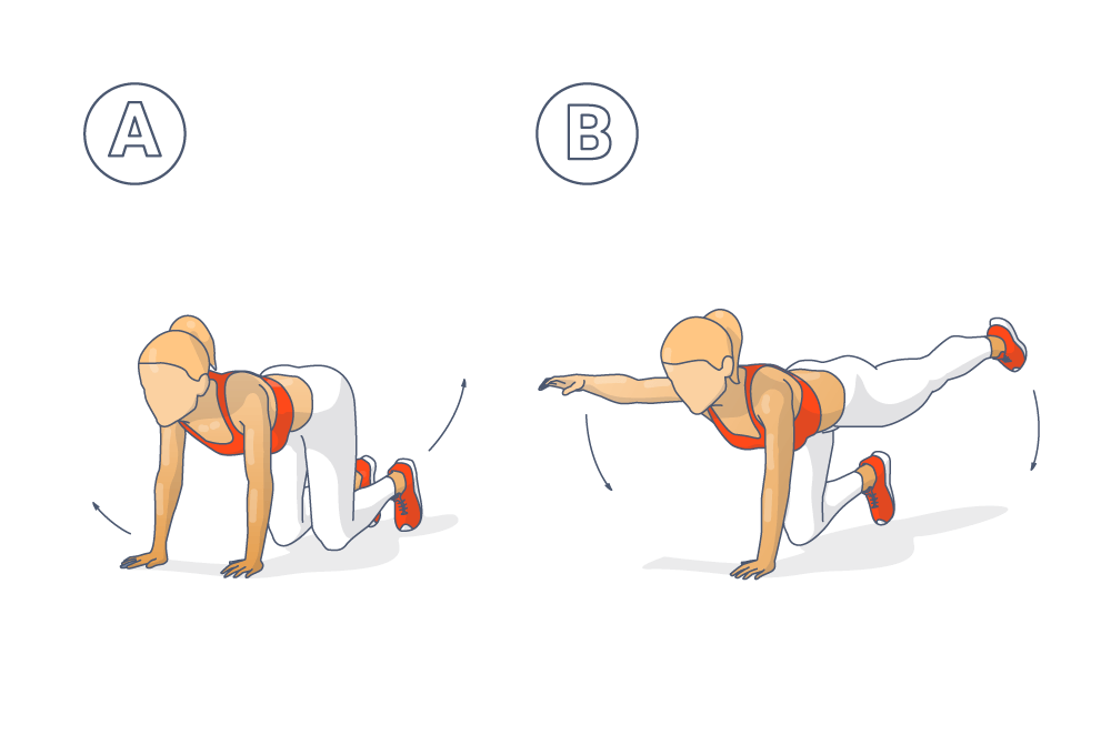 Tabata -oefening voor de kern: de Supermann ("Bird Dog") Afbeelding instructies voor de Supermann als tekening