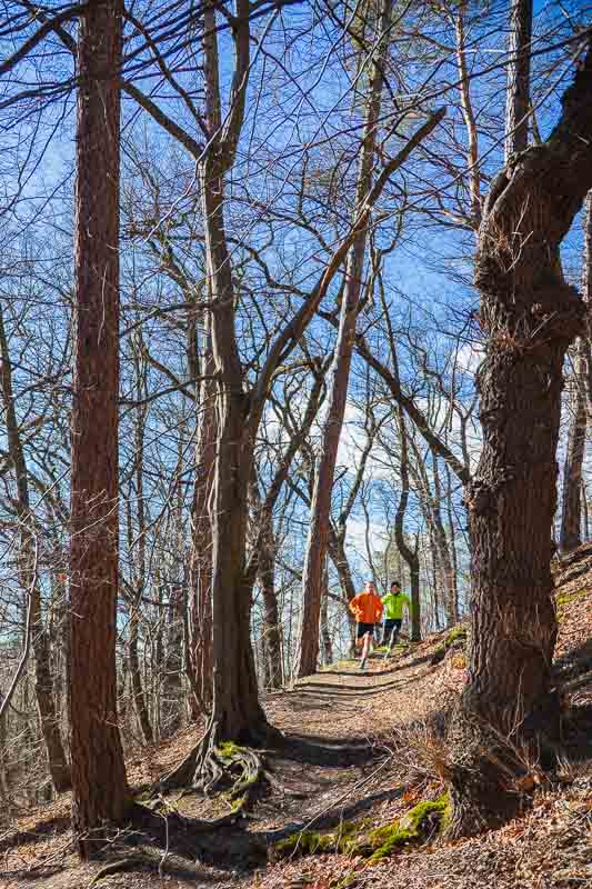 Energie opladen in het bos – Hardlopen in de natuur Twee mannen rennen een steil bospad omhoog, omringd door hoge, kale bomen en een blauwe lucht. Beide dragen opvallende hardloopjassen en steunbandages voor extra stabiliteit.