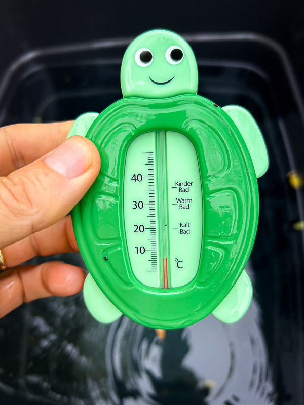 Als de schildpad zegt dat het koud is – geloof hem maar! Een groen schildpad-badthermometer wordt vastgehouden in een hand. De thermometer geeft net boven 0 graden Celsius aan, met de categorieën „Kinder Bad“, „Warm Bad“ en „Kalt Bad“ op de schaal. De achtergrond toont een waterbak.