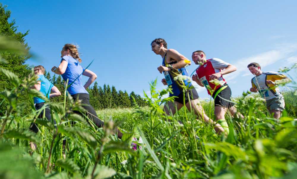 Rennsteiglauf: marathon door het hoge gras Snapshot van de racecit door het gras
