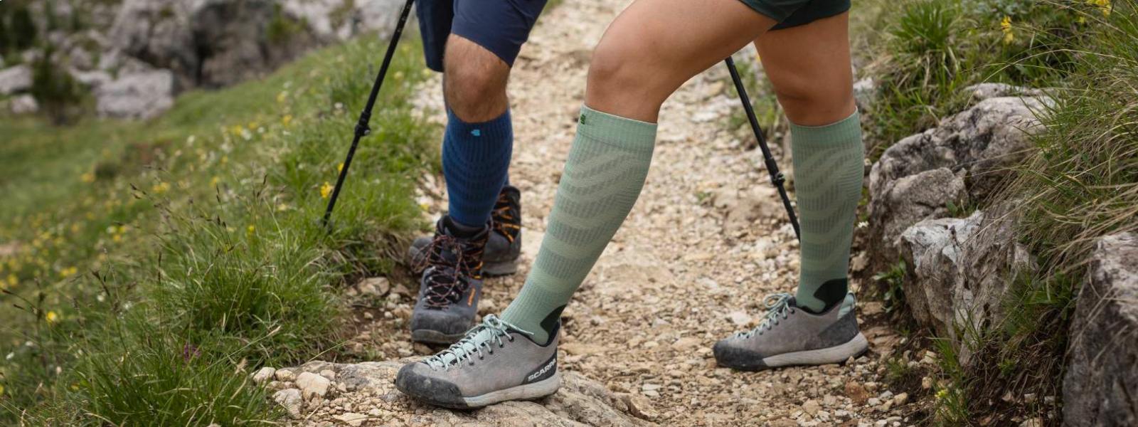Merino wandelsokken in verschillende kleuren Extract van vier poten met barmhartige merino -wandelsokken op een wandelpad