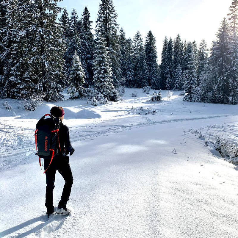 Meisje met rugzak kijkt naar een besneeuwd bos
